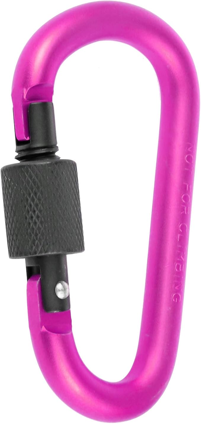 10 Pack Aluminum D Ring Key Rings Hiking Clips Locking Carabiner for Hiking Camping Fishing and Outdoor Use,Clips with Screw Gate Multicolored