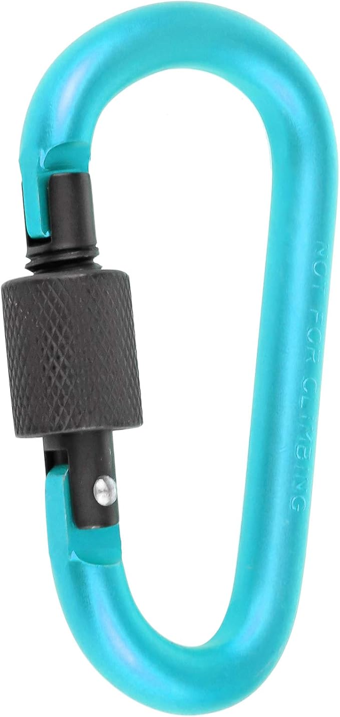 10 Pack Aluminum D Ring Key Rings Hiking Clips Locking Carabiner for Hiking Camping Fishing and Outdoor Use，Clips with Screw Gate Multicolored