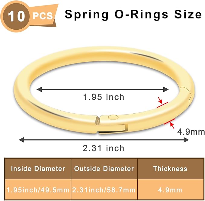 10Pack 2" Large Round Carabiner Clips, Metal Spring O Rings for Organizer Key Rings, Paracord Keychain Lanyard, Pet Chains, Purse Hardware, Key Snap Hooks DIY Accessory (Gold)