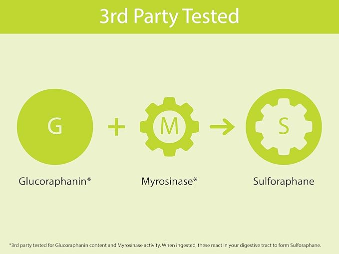 KOYAH Organic Broccoli Sprout Capsules – Freeze-Dried Whole Broccoli Sprouts – 3rd Party Tested for Active Myrosinase & Glucoraphanin (Sulforaphane Glucosinolate) - 150 Capsules