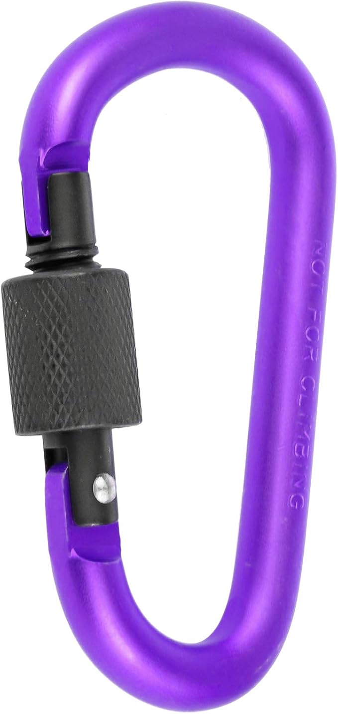 10 Pack Aluminum D Ring Key Rings Hiking Clips Locking Carabiner for Hiking Camping Fishing and Outdoor Use，Clips with Screw Gate Multicolored