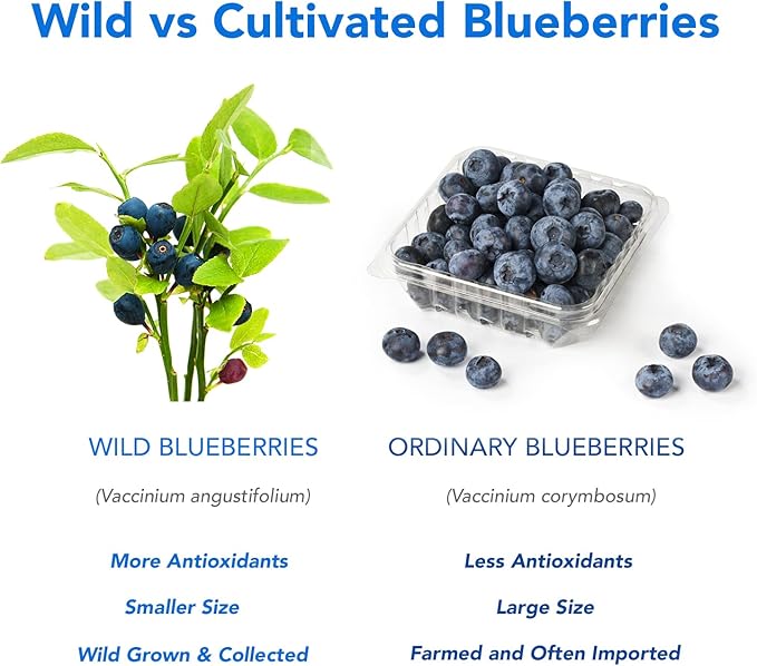 100% Pure Wild Blueberry Powder | Rich in Antioxidants | Made with Canada Grade-A Wild Crafted Blueberries, Perfect for Smoothies, Snacks & Baking (8 oz)
