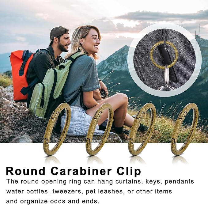 10Pack 2" Large Round Carabiner Clips, Metal Spring O Rings for Organizer Key Rings, Paracord Keychain Lanyard, Pet Chains, Purse Hardware, Key Snap Hooks DIY Accessory (Bronze)